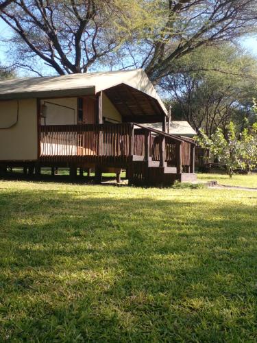 maun