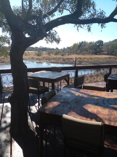 maun