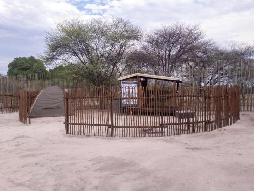 maun