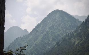odin hostel kasol