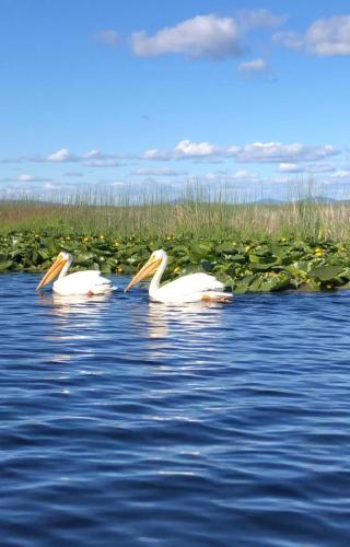 klamath falls