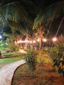 bb durio chalet