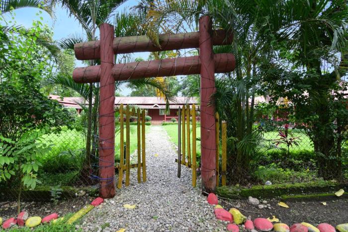 townhouse oak gorumara jungle resort