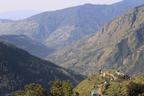 tisa