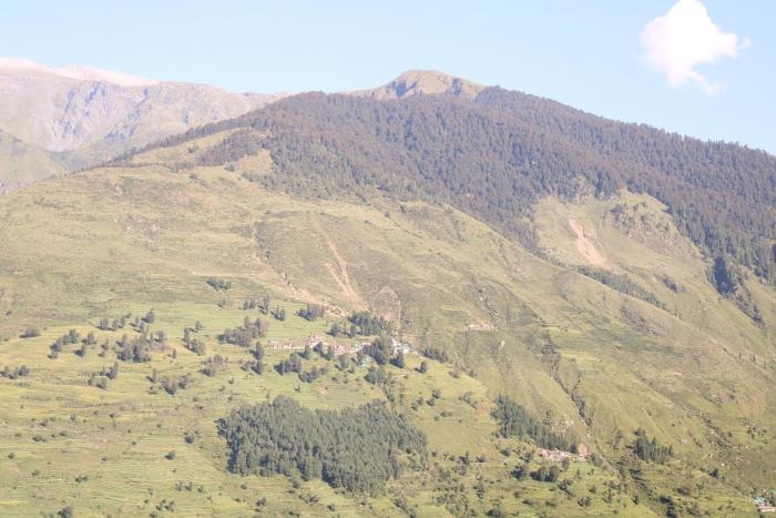 tisa