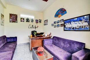 collection o mount view