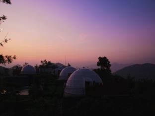 monticle glamp