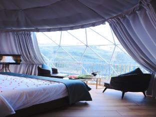 monticle glamp