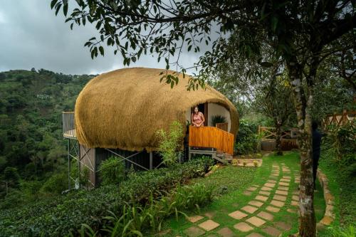 monticle glamp