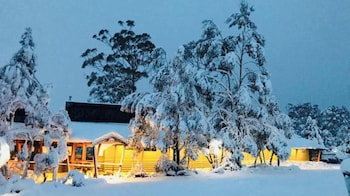 discovery resorts cradle mountain