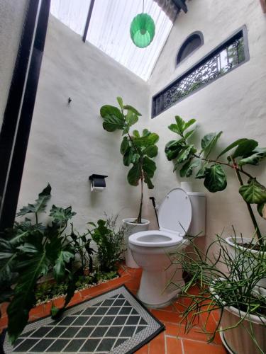 naturetalk homestay