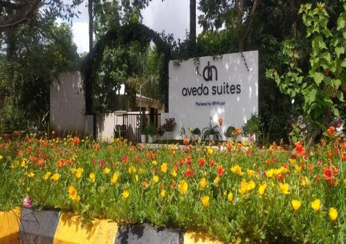 aveda suites at aamby valley city