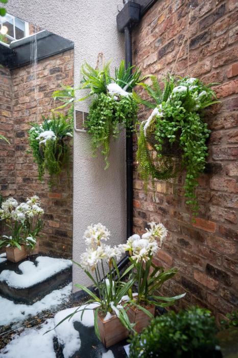 at home apartments