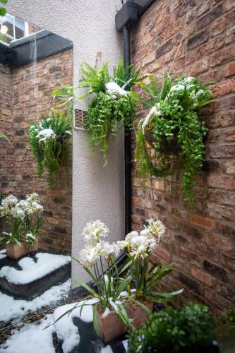 at home apartments
