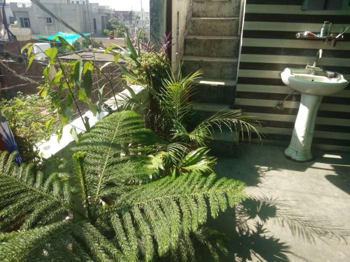 ashiana home stay