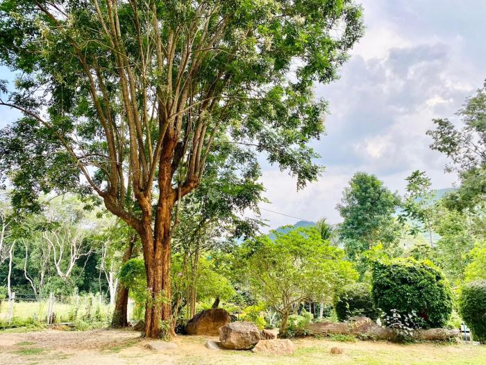 kaeng krachan