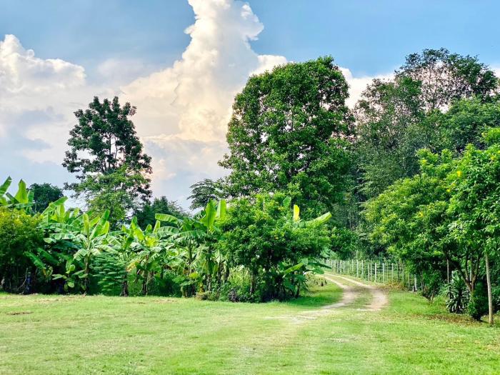 kaeng krachan