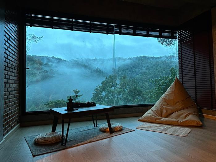 hi land forest view