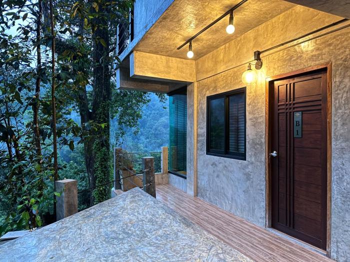 hi land forest view