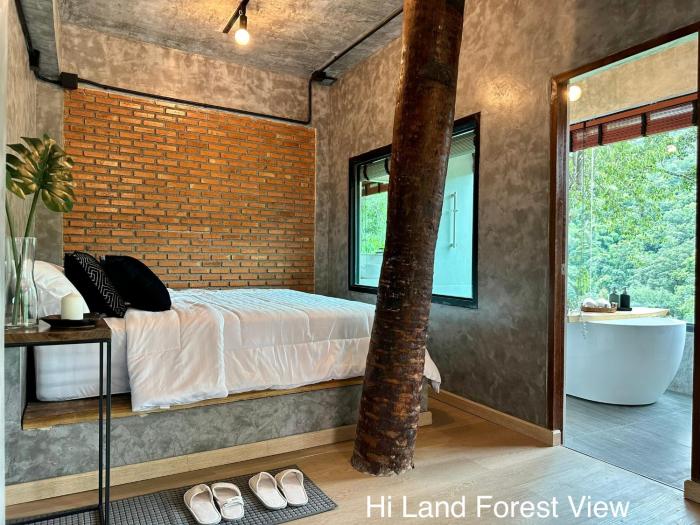 hi land forest view