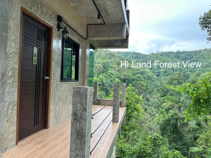 hi land forest view