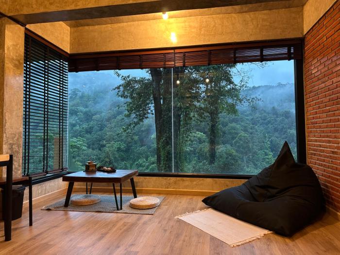hi land forest view