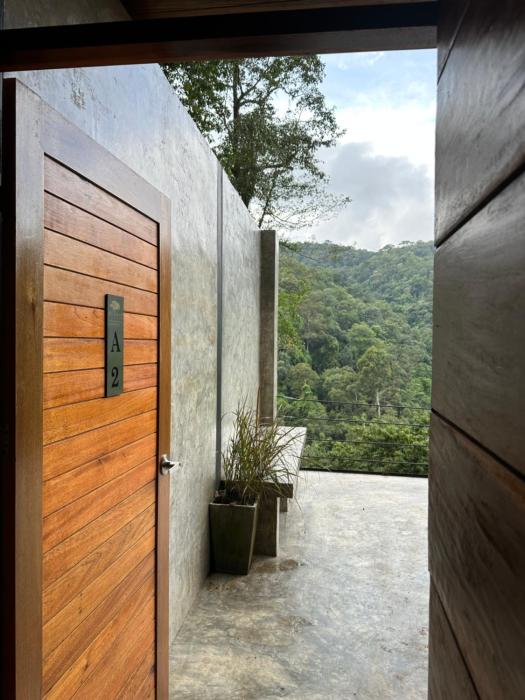 hi land forest view
