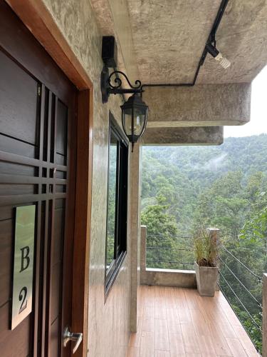 hi land forest view