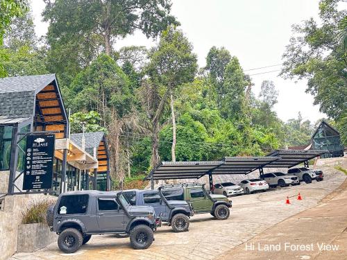 hi land forest view