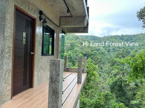 hi land forest view