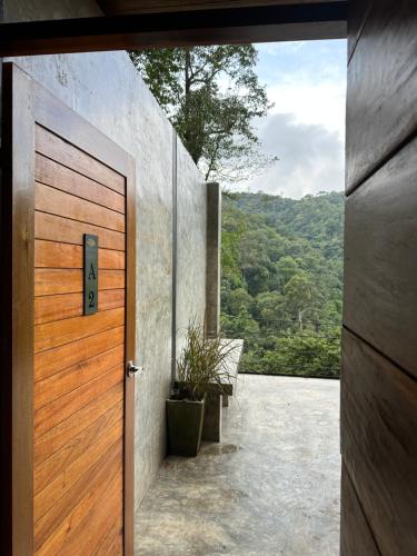 hi land forest view