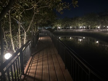 the beatles lagoon