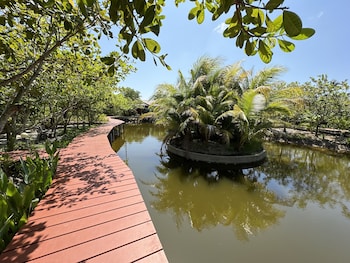 the beatles lagoon