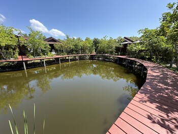 the beatles lagoon