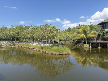 the beatles lagoon