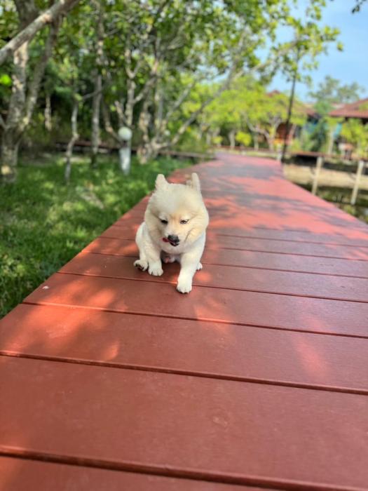 the beatles lagoon