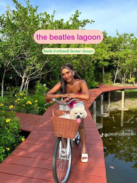 the beatles lagoon