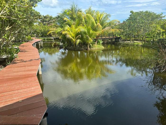 the beatles lagoon