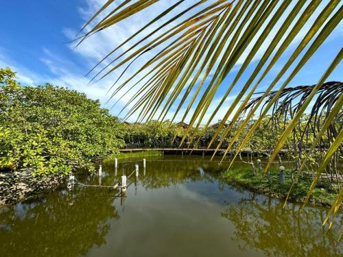 the beatles lagoon