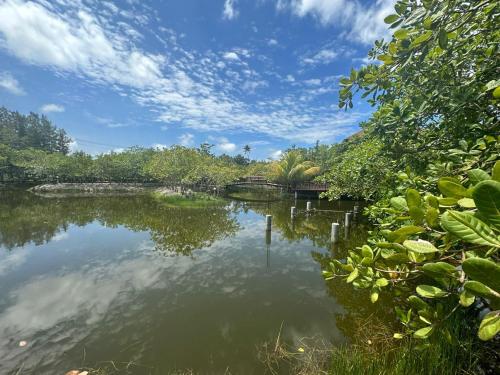 the beatles lagoon