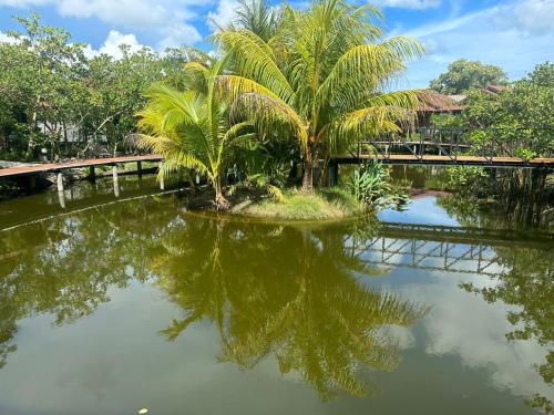 the beatles lagoon