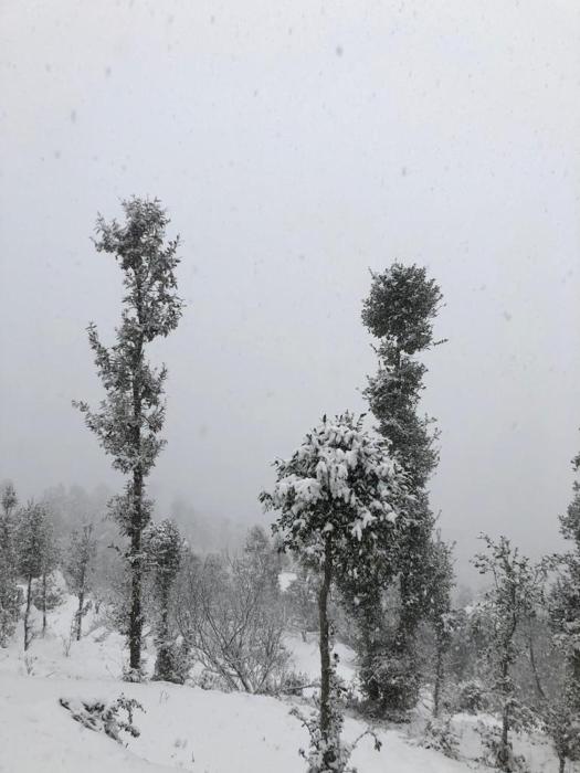 wanderlust mukteshwar