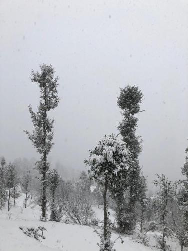 wanderlust mukteshwar