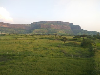 rajasthani rajwadi hotel and restaurant