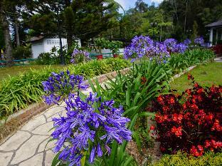 clock inn hostel cameron highlands