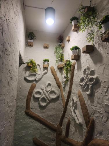 clock inn hostel cameron highlands