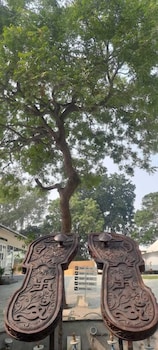 praveg tent city ayodhya brahmakund