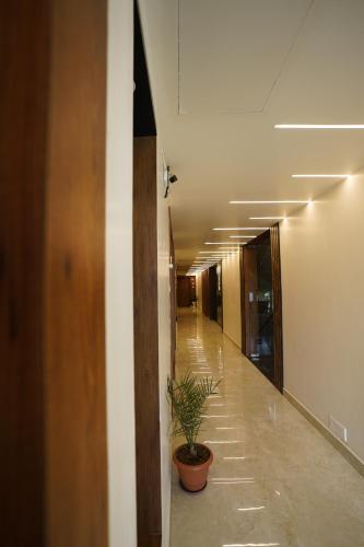 drizzledrop inn chennai