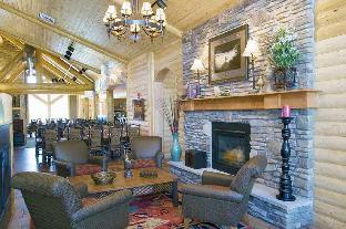 hilton garden inn kalispell