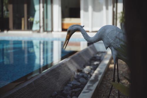 thammachard29 resort baangrood